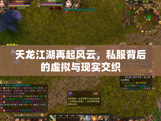 天龙江湖再起风云，私服背后的虚拟与现实交织