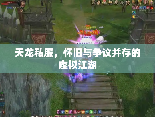 天龙私服，怀旧与争议并存的虚拟江湖