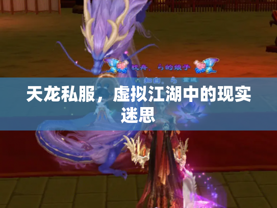 天龙私服，虚拟江湖中的现实迷思