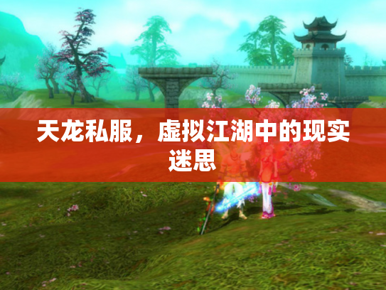 天龙私服，虚拟江湖中的现实迷思