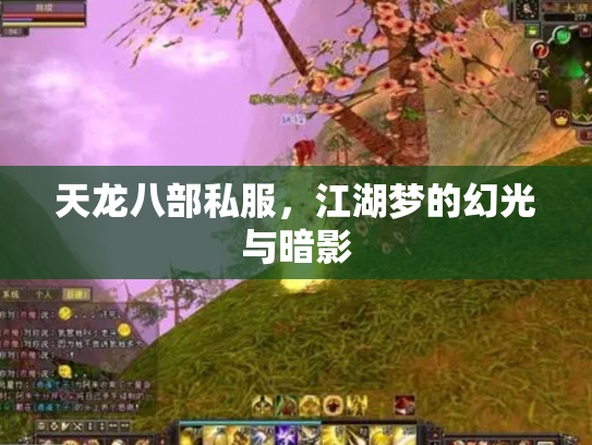 天龙八部私服，江湖梦的幻光与暗影