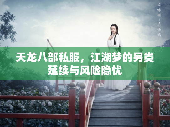 天龙八部私服，江湖梦的另类延续与风险隐忧