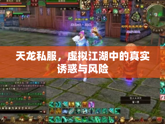 天龙私服，虚拟江湖中的真实诱惑与风险
