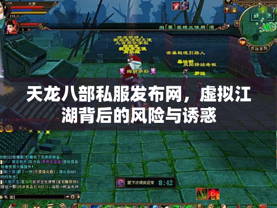 天龙八部私服发布网，虚拟江湖背后的风险与诱惑
