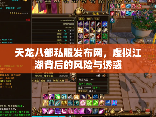 天龙八部私服发布网，虚拟江湖背后的风险与诱惑