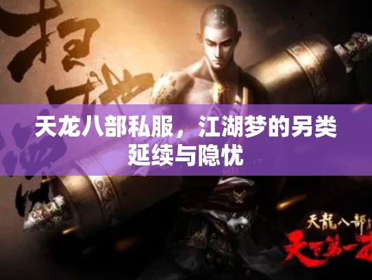 天龙八部私服，江湖梦的另类延续与隐忧