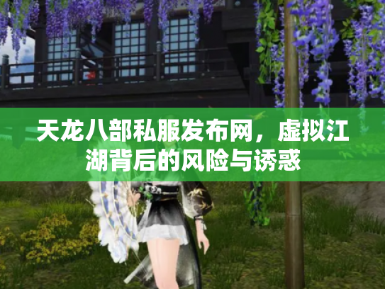 天龙八部私服发布网，虚拟江湖背后的风险与诱惑