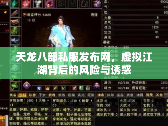 天龙八部私服发布网，虚拟江湖背后的风险与诱惑