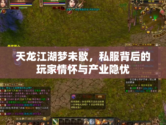 天龙江湖梦未歇，私服背后的玩家情怀与产业隐忧