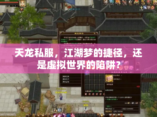 天龙私服，江湖梦的捷径，还是虚拟世界的陷阱？
