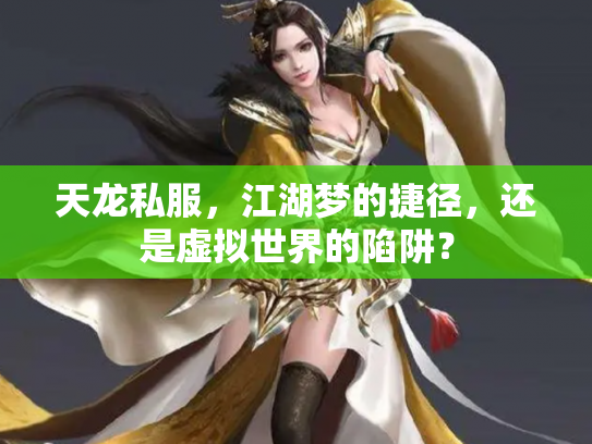 天龙私服，江湖梦的捷径，还是虚拟世界的陷阱？
