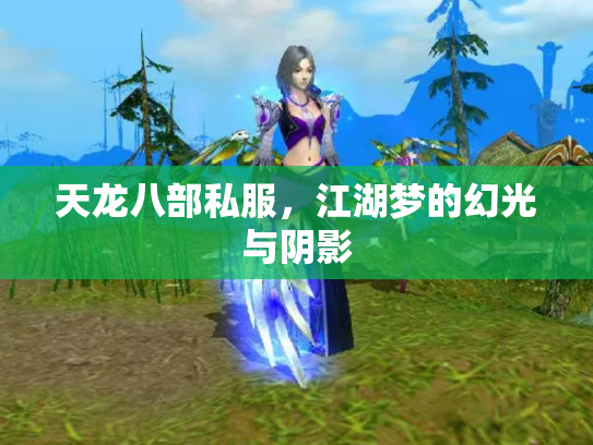 天龙八部私服，江湖梦的幻光与阴影
