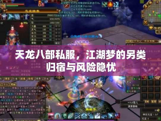 天龙八部私服，江湖梦的另类归宿与风险隐忧