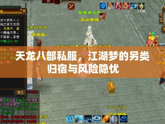 天龙八部私服，江湖梦的另类归宿与风险隐忧