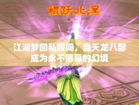 江湖梦回私服间，当天龙八部成为永不落幕的幻境