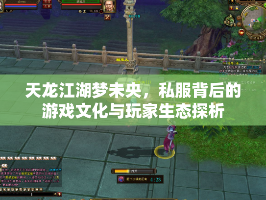 天龙江湖梦未央，私服背后的游戏文化与玩家生态探析