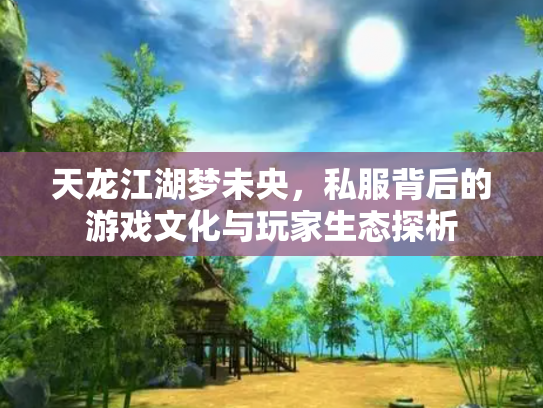 天龙江湖梦未央，私服背后的游戏文化与玩家生态探析