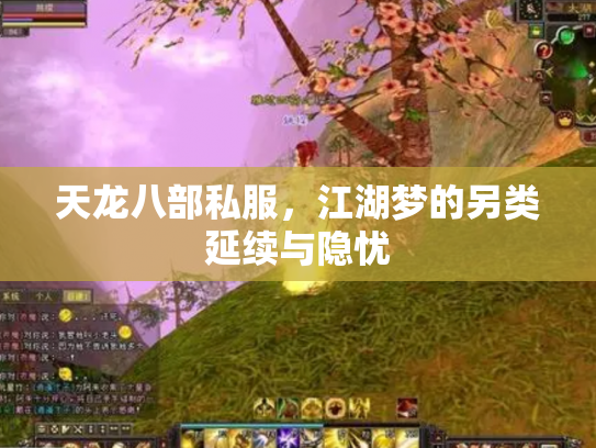 天龙八部私服，江湖梦的另类延续与隐忧