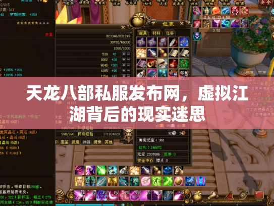 天龙八部私服发布网，虚拟江湖背后的现实迷思
