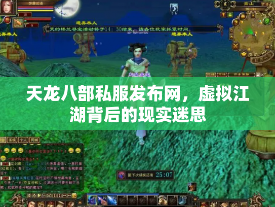 天龙八部私服发布网，虚拟江湖背后的现实迷思