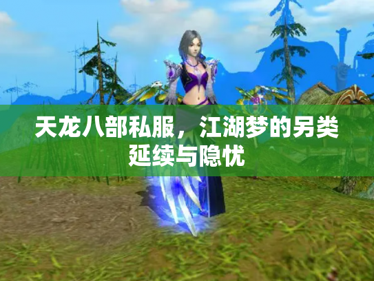 天龙八部私服，江湖梦的另类延续与隐忧