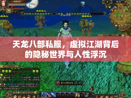 天龙八部私服，虚拟江湖背后的隐秘世界与人性浮沉