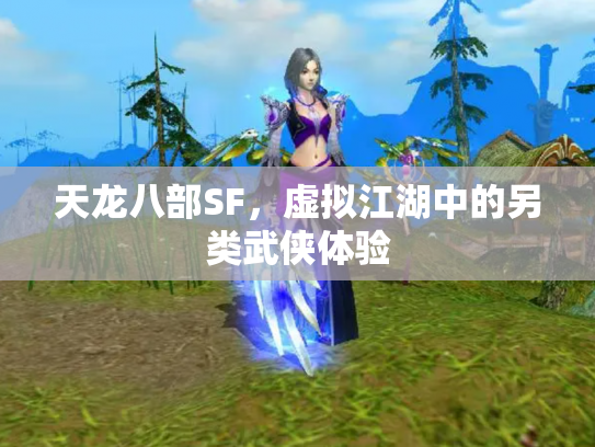 天龙八部SF，虚拟江湖中的另类武侠体验
