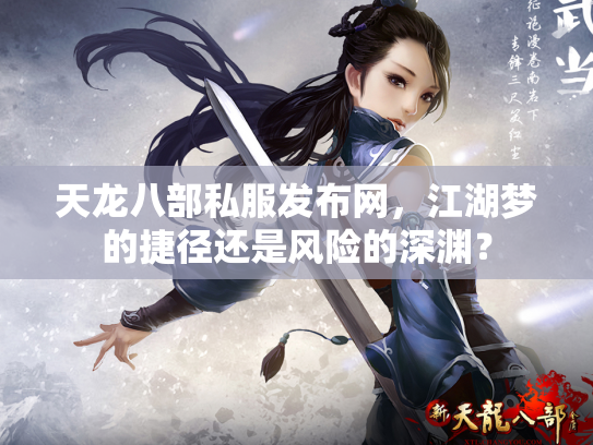 天龙八部私服发布网，江湖梦的捷径还是风险的深渊？