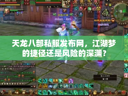 天龙八部私服发布网，江湖梦的捷径还是风险的深渊？