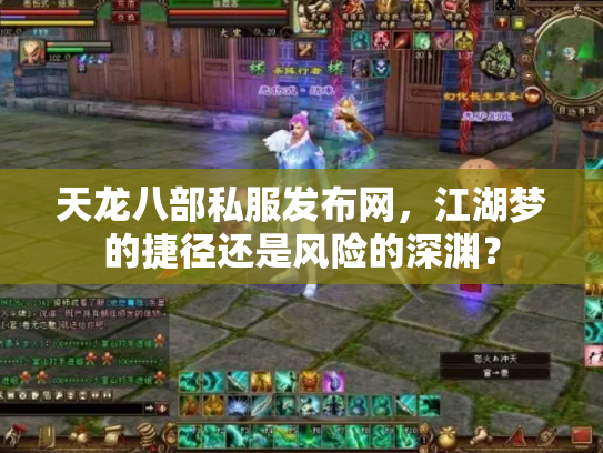 天龙八部私服发布网，江湖梦的捷径还是风险的深渊？