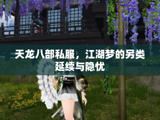 天龙八部私服，江湖梦的另类延续与隐忧