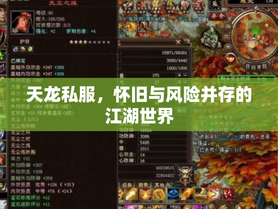 天龙私服，怀旧与风险并存的江湖世界