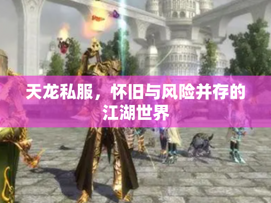 天龙私服，怀旧与风险并存的江湖世界