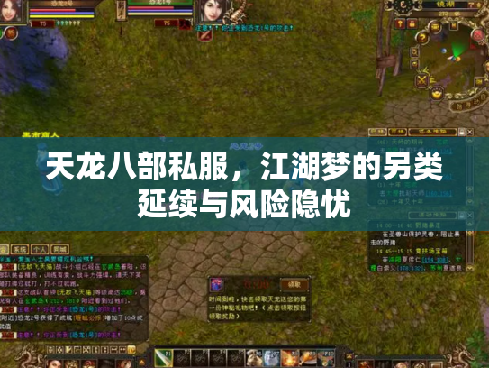 天龙八部私服，江湖梦的另类延续与风险隐忧