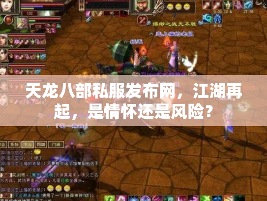 天龙八部私服发布网，江湖再起，是情怀还是风险？