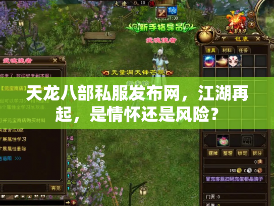 天龙八部私服发布网，江湖再起，是情怀还是风险？