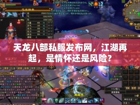 天龙八部私服发布网，江湖再起，是情怀还是风险？