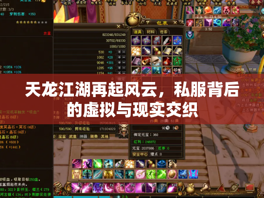 天龙江湖再起风云，私服背后的虚拟与现实交织