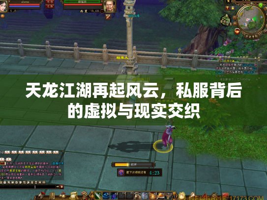 天龙江湖再起风云，私服背后的虚拟与现实交织