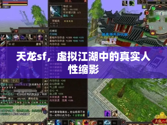 天龙sf，虚拟江湖中的真实人性缩影