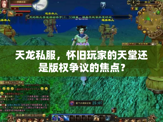 天龙私服，怀旧玩家的天堂还是版权争议的焦点？