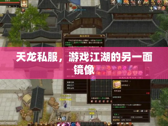 天龙私服，游戏江湖的另一面镜像
