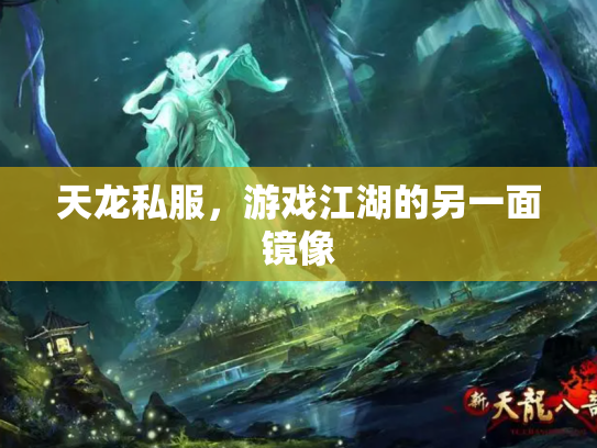 天龙私服，游戏江湖的另一面镜像