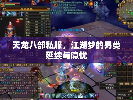 天龙八部私服，江湖梦的另类延续与隐忧