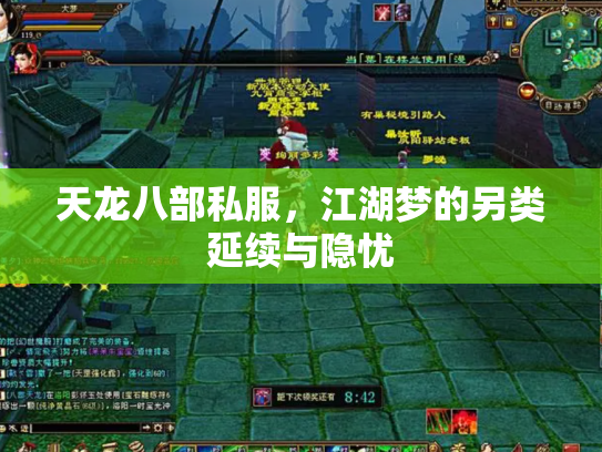 天龙八部私服，江湖梦的另类延续与隐忧
