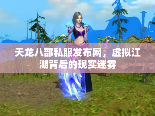 天龙八部私服发布网，虚拟江湖背后的现实迷雾