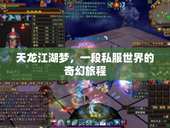 天龙江湖梦，一段私服世界的奇幻旅程