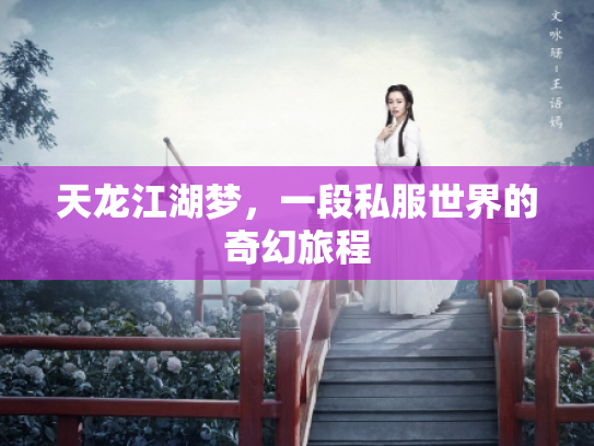 天龙江湖梦，一段私服世界的奇幻旅程