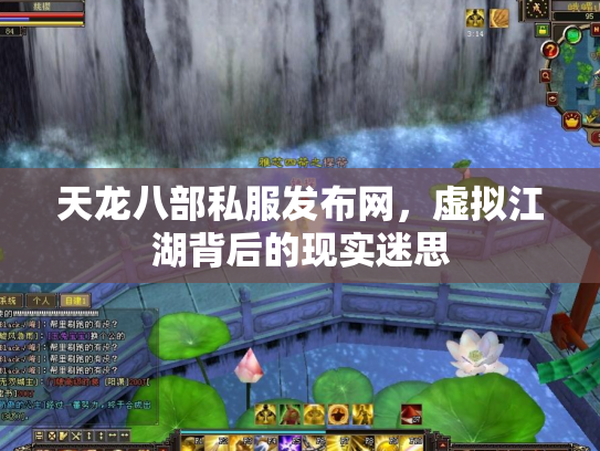 天龙八部私服发布网，虚拟江湖背后的现实迷思