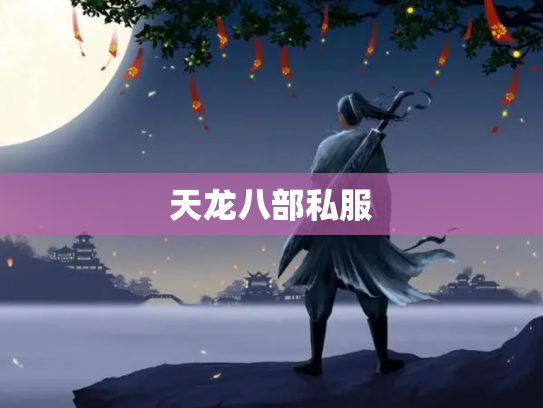 天龙八部私服